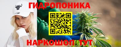 эйфоретик Кингисепп