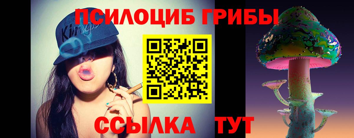 Гай  продажа наркотиков  Вход с VPN  Галлюциногенные грибы Magic Shrooms 
