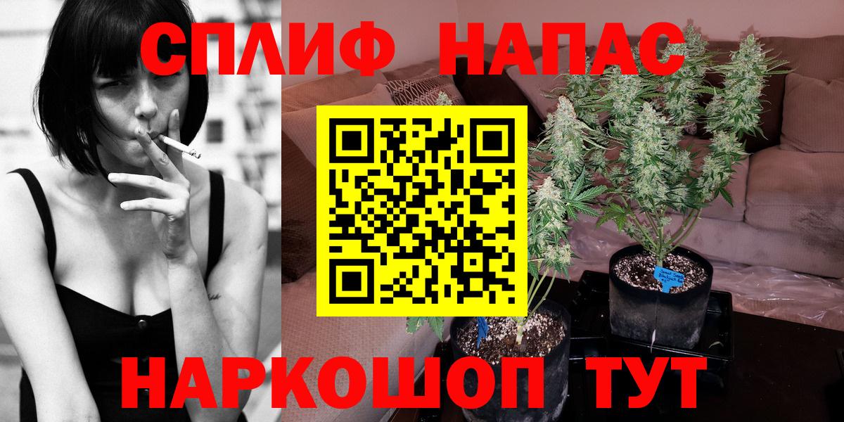 Гай  Каннабис Ganja  Вход с VPN  Конопля MAZAR  Каннабис AK-47 